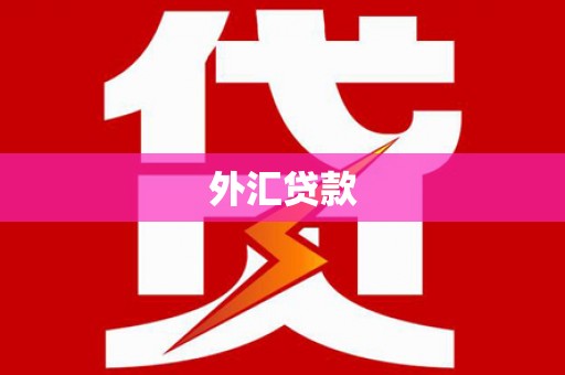 寿宁外汇贷款