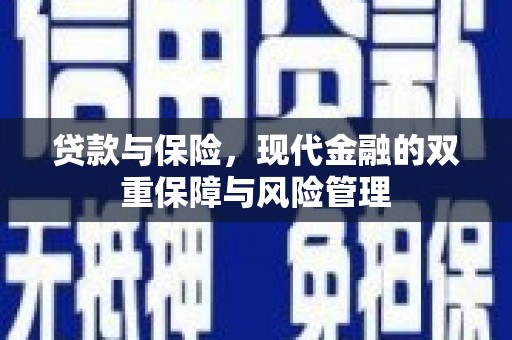 寿宁贷款与保险，现代金融的双重保障与风险管理