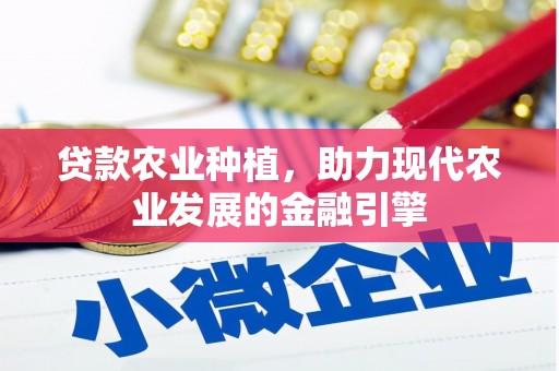 寿宁贷款农业种植，助力现代农业发展的金融引擎