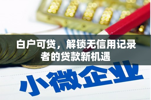 寿宁白户可贷，解锁无信用记录者的贷款新机遇
