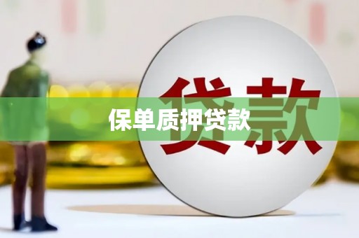 寿宁保单质押贷款