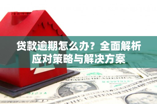 寿宁贷款逾期怎么办？全面解析应对策略与解决方案