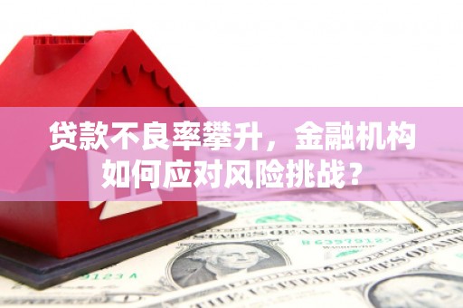 寿宁贷款不良率攀升，金融机构如何应对风险挑战？