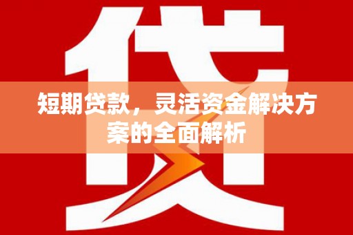 寿宁短期贷款，灵活资金解决方案的全面解析