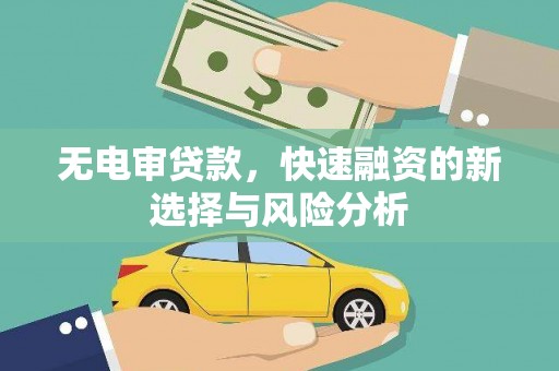 寿宁无电审贷款，快速融资的新选择与风险分析
