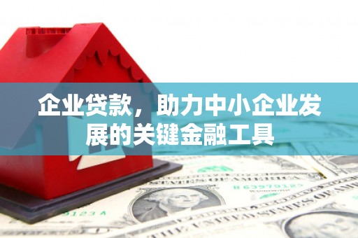 寿宁企业贷款，助力中小企业发展的关键金融工具