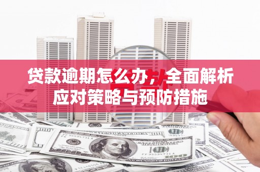 寿宁贷款逾期怎么办，全面解析应对策略与预防措施