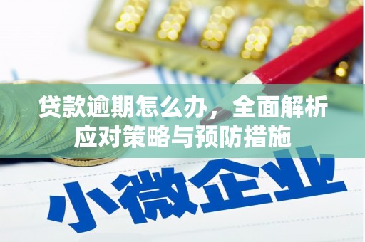 寿宁贷款逾期怎么办，全面解析应对策略与预防措施