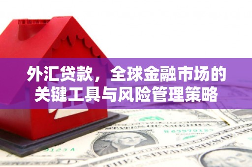 寿宁外汇贷款，全球金融市场的关键工具与风险管理策略