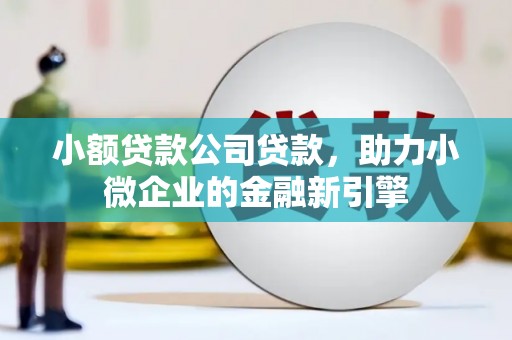 寿宁小额贷款公司贷款，助力小微企业的金融新引擎