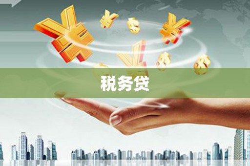 寿宁税务贷