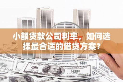 寿宁小额贷款公司利率，如何选择最合适的借贷方案？