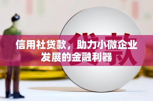 寿宁信用社贷款，助力小微企业发展的金融利器