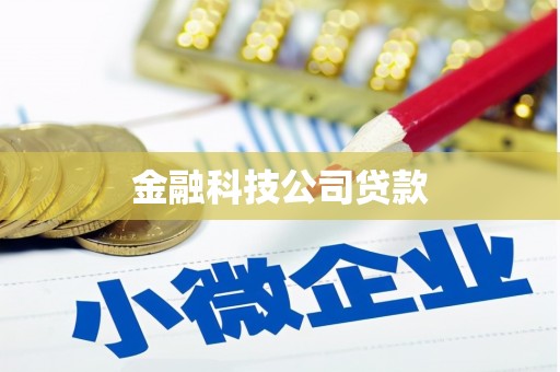 寿宁金融科技公司贷款