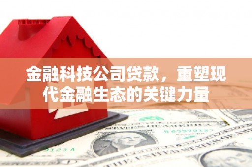 寿宁金融科技公司贷款，重塑现代金融生态的关键力量