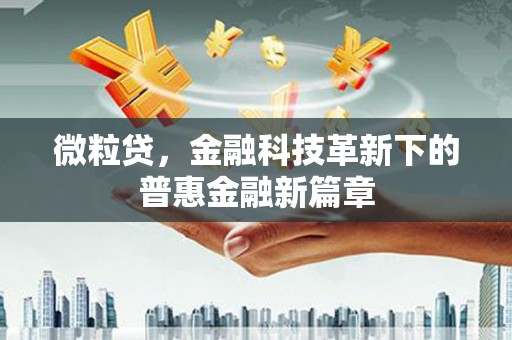 寿宁微粒贷，金融科技革新下的普惠金融新篇章