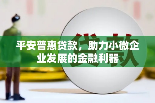 寿宁平安普惠贷款，助力小微企业发展的金融利器