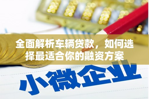 寿宁全面解析车辆贷款，如何选择最适合你的融资方案