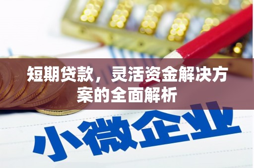 寿宁短期贷款，灵活资金解决方案的全面解析
