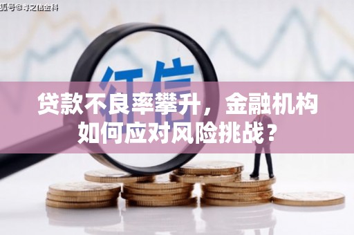寿宁贷款不良率攀升，金融机构如何应对风险挑战？