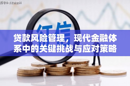 寿宁贷款风险管理，现代金融体系中的关键挑战与应对策略
