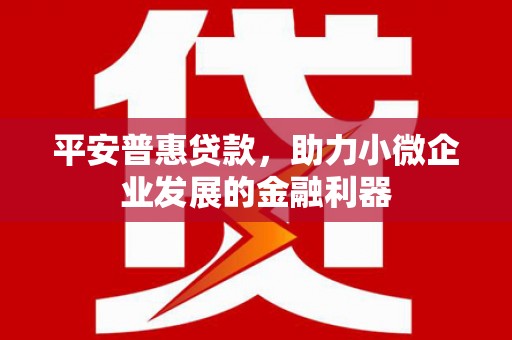 寿宁平安普惠贷款，助力小微企业发展的金融利器