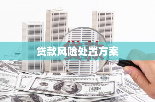 寿宁贷款风险处置方案