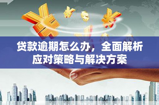 寿宁贷款逾期怎么办，全面解析应对策略与解决方案